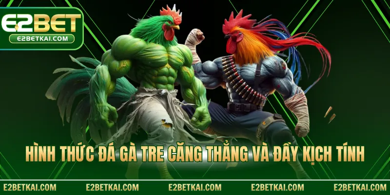 Hình thức đá gà tre căng thẳng và đầy kịch tính